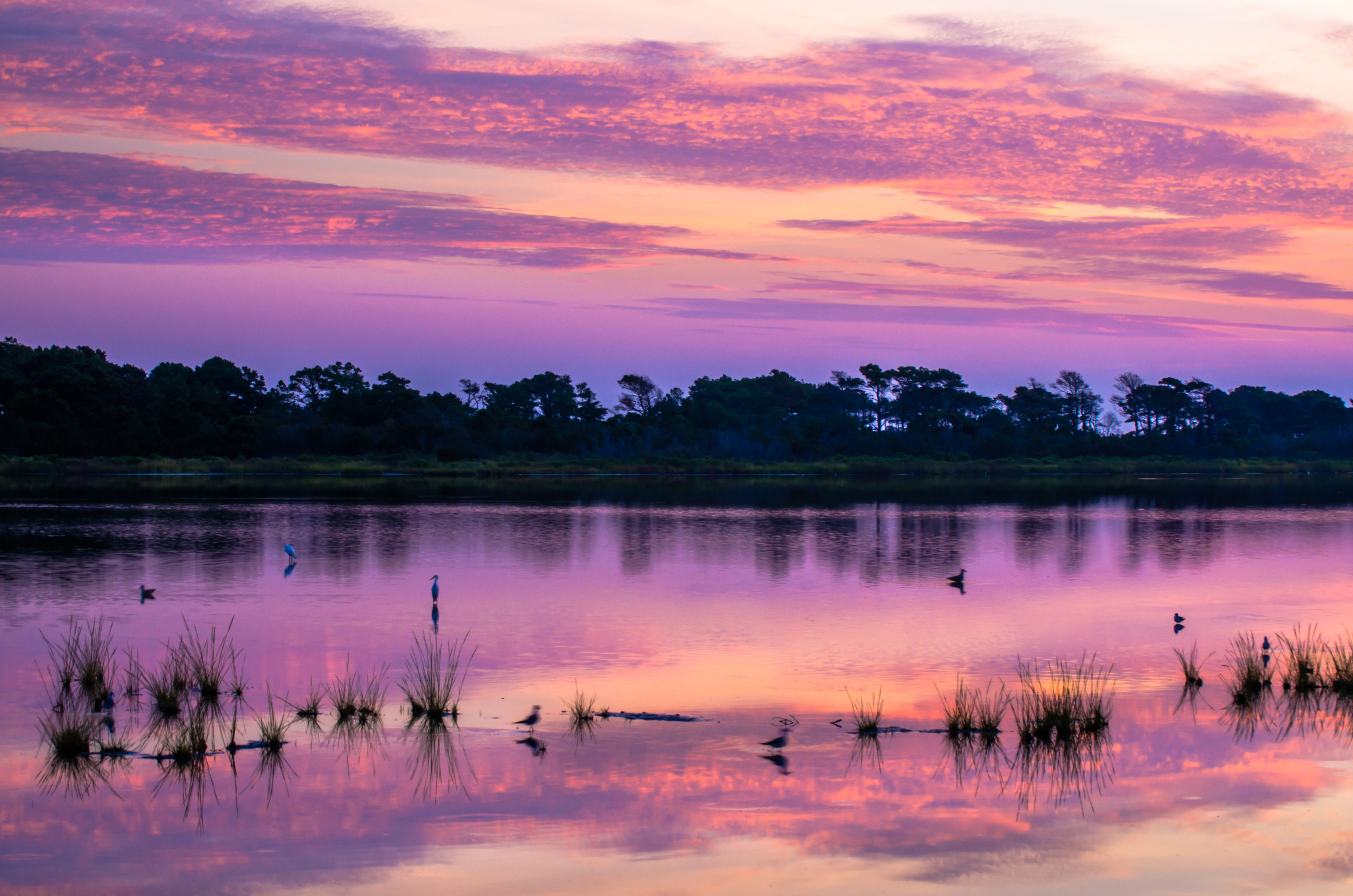 Sunrise over Assateague Island | Shutterbug